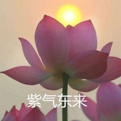 倩女勾魂游戏下载